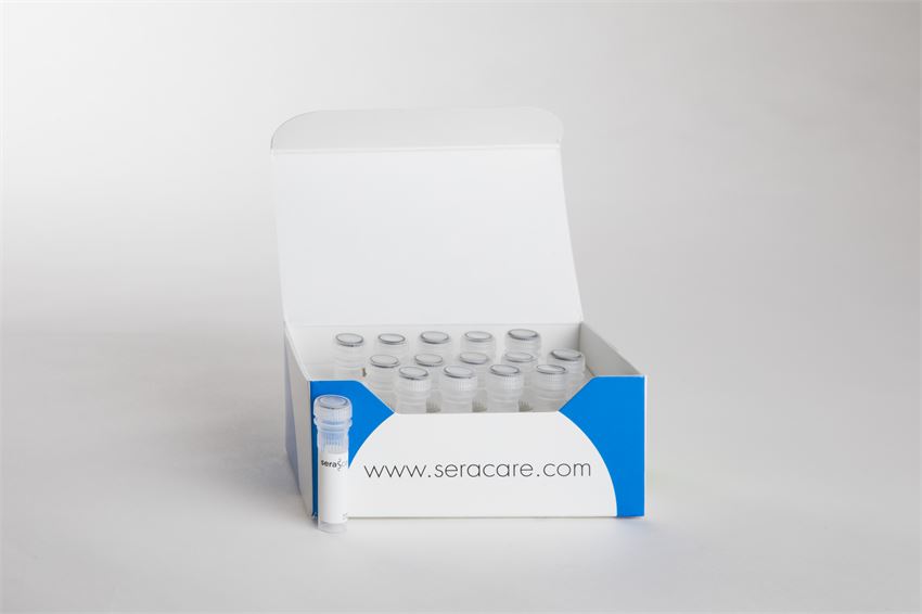 ACCURUN 381 HPV mRNA Positive Control. Seracare (USA).