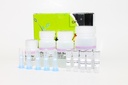 GF-1 Viral Nucleic Acid Extraction Kit. Proteinase K & Carrier RNA Included. Vivantis.