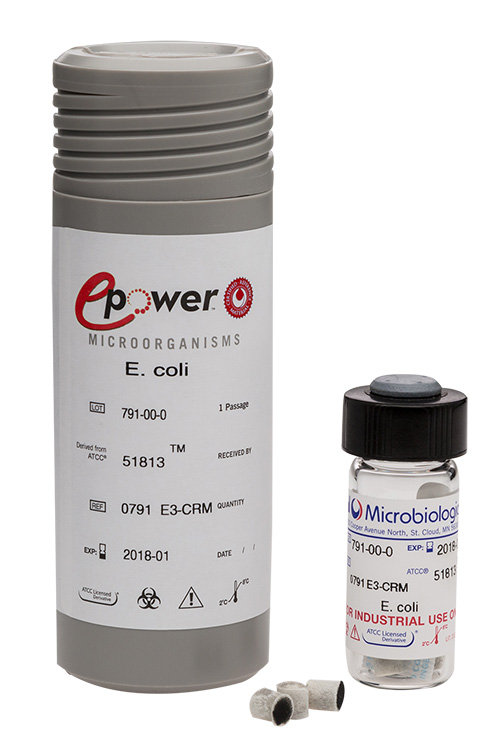 Aspergillus brasiliensis derived from ATCC® 16404™. Epower™CRM. Microbiologics (USA).