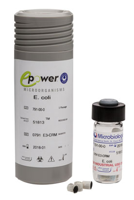 Material de Referencia Certificado (CRM) Salmonella enterica subsp. enterica serovar Typhimurium derived from ATCC® 14028 Epower Microbiologics (USA). 