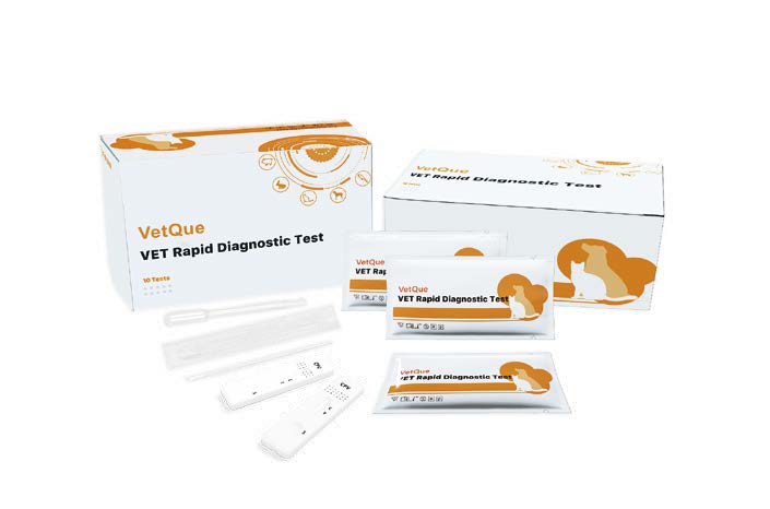 FIV Ab/FeLV Ag Detección de Anticuerpos del Virus de Inmunodeficiencia y Antígeno del Virus de Leucemia Felinos. Pushkang.  