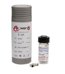 Aspergillus fumigatus derived from ATCC® 204305™. Epower™ CRM. Microbiologics (USA).
