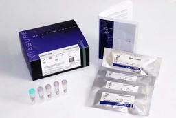 [CT VS-VP1ABR] VIASURE Viral Influenza A, Influenza B & RSV Positive Control Kit. Certest (España).  